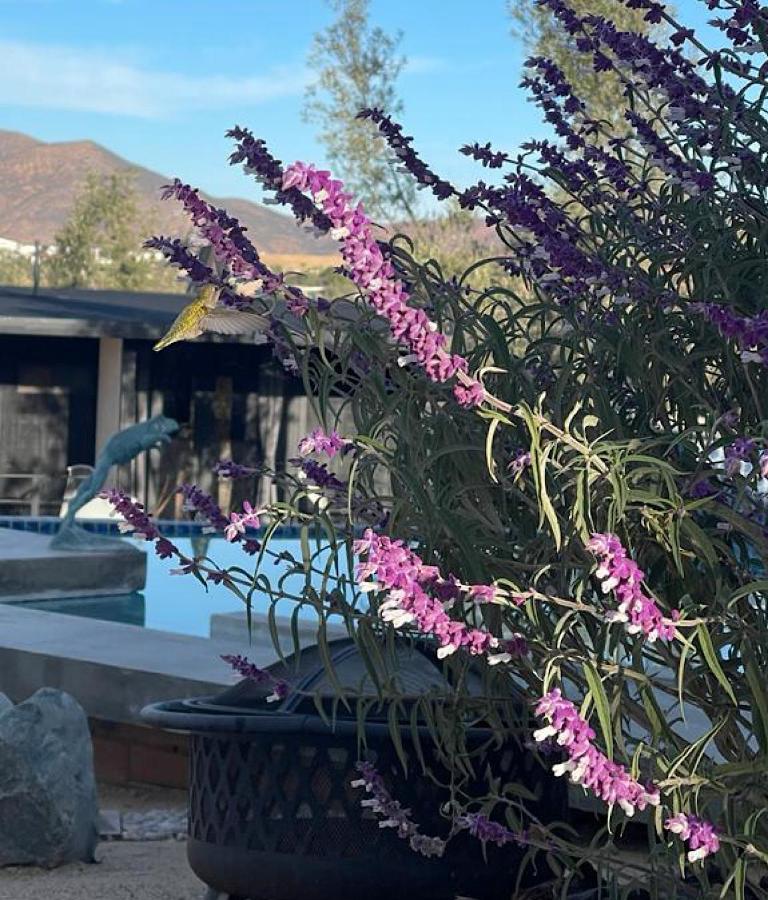 Finca Cazosa 장크트 고아르스하우젠 외부 사진